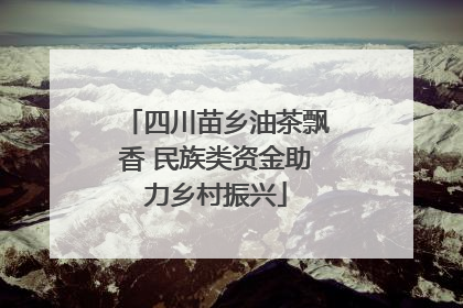 四川苗乡油茶飘香 民族类资金助力乡村振兴