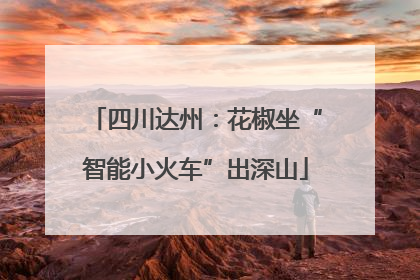 四川达州：花椒坐“智能小火车”出深山