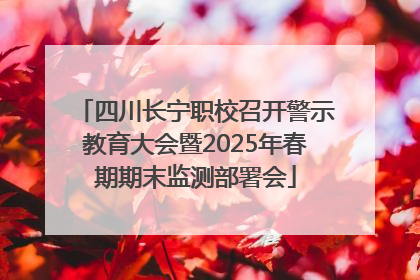 四川长宁职校召开警示教育大会暨2025年春期期末监测部署会