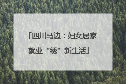 四川马边：妇女居家就业“绣”新生活