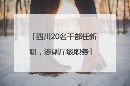 四川20名干部任新职，涉副厅级职务