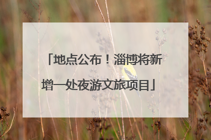 地点公布！淄博将新增一处夜游文旅项目
