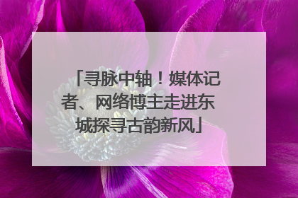 寻脉中轴！媒体记者、网络博主走进东城探寻古韵新风