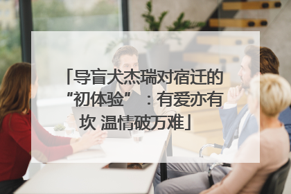 导盲犬杰瑞对宿迁的“初体验”：有爱亦有坎 温情破万难