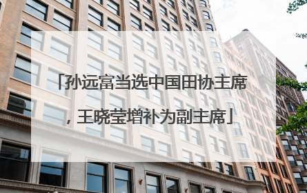 孙远富当选中国田协主席，王晓莹增补为副主席