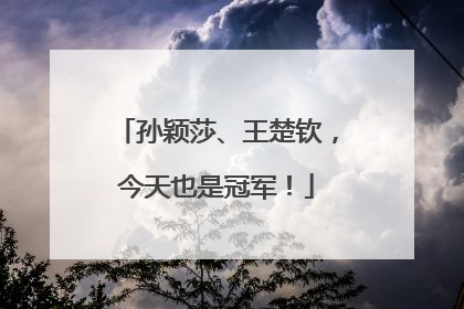 孙颖莎、王楚钦，今天也是冠军！