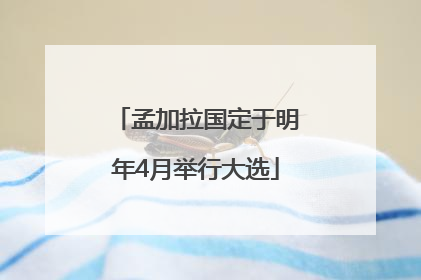 孟加拉国定于明年4月举行大选