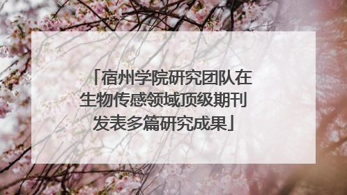 宿州学院研究团队在生物传感领域顶级期刊发表多篇研究成果