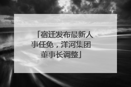 宿迁发布最新人事任免，洋河集团董事长调整