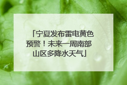 宁夏发布雷电黄色预警！未来一周南部山区多降水天气