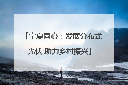 宁夏同心：发展分布式光伏 助力乡村振兴