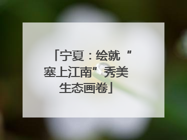 宁夏：绘就“塞上江南”秀美生态画卷