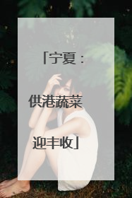 宁夏：供港蔬菜迎丰收
