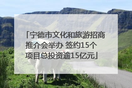 宁德市文化和旅游招商推介会举办 签约15个项目总投资逾15亿元