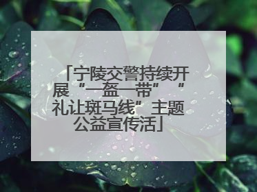 宁陵交警持续开展“一盔一带”“礼让斑马线”主题公益宣传活