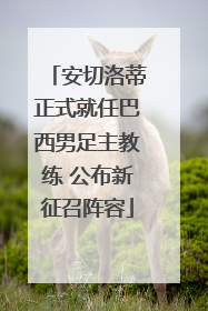 安切洛蒂正式就任巴西男足主教练 公布新征召阵容