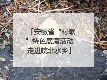 安徽省“村歌”特色展演活动走进皖北水乡