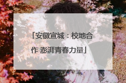 安徽宣城：校地合作 澎湃青春力量