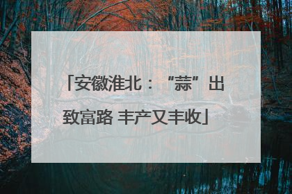 安徽淮北：“蒜”出致富路 丰产又丰收