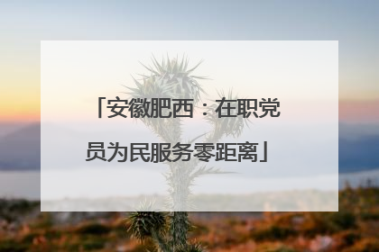 安徽肥西：在职党员为民服务零距离