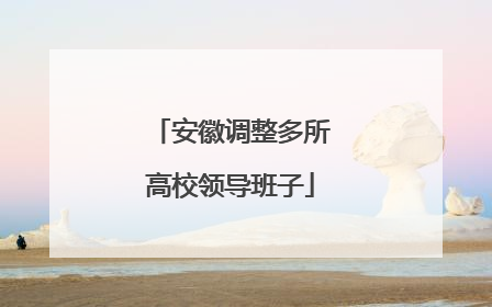 安徽调整多所高校领导班子
