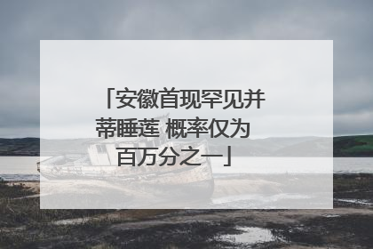 安徽首现罕见并蒂睡莲 概率仅为百万分之一