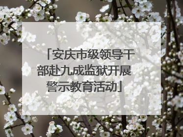 安庆市级领导干部赴九成监狱开展警示教育活动