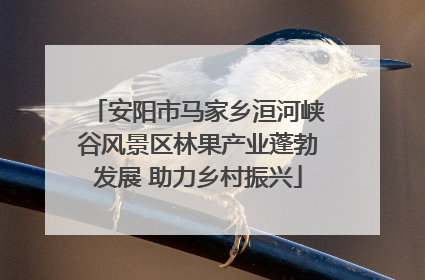 安阳市马家乡洹河峡谷风景区林果产业蓬勃发展 助力乡村振兴