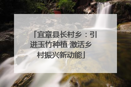 宜章县长村乡：引进玉竹种植 激活乡村振兴新动能