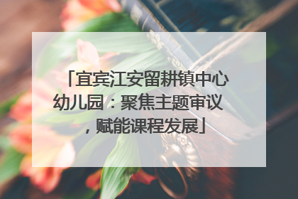 宜宾江安留耕镇中心幼儿园：聚焦主题审议，赋能课程发展