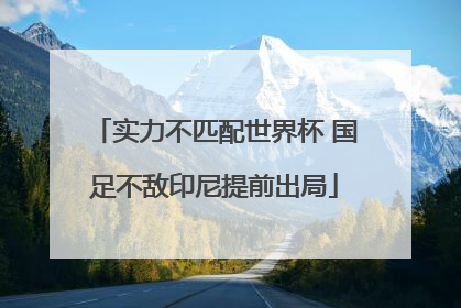实力不匹配世界杯 国足不敌印尼提前出局