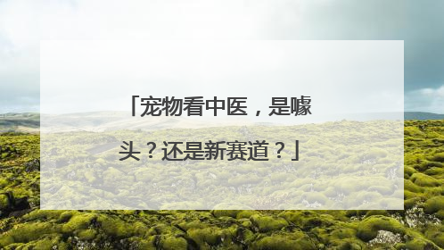 宠物看中医，是噱头？还是新赛道？