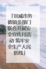 宣威市务德镇多部门联合开展安全宣传月活动 筑牢安全生产人民防线