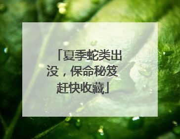 夏季蛇类出没，保命秘笈赶快收藏
