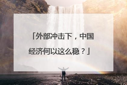 外部冲击下，中国经济何以这么稳？