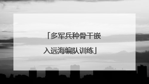 多军兵种骨干嵌入远海编队训练