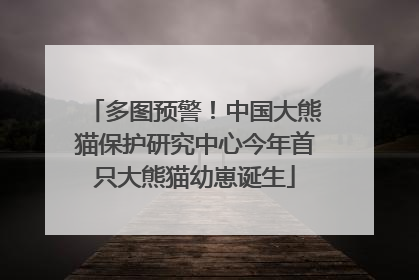 多图预警！中国大熊猫保护研究中心今年首只大熊猫幼崽诞生