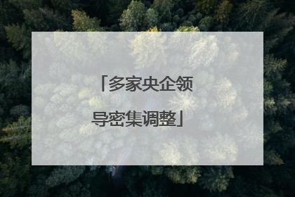 多家央企领导密集调整