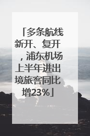 多条航线新开、复开，浦东机场上半年进出境旅客同比增23%