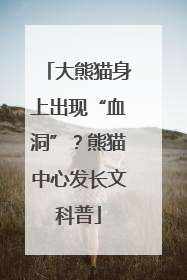 大熊猫身上出现“血洞”？熊猫中心发长文科普