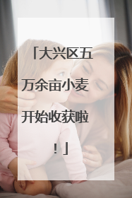大兴区五万余亩小麦开始收获啦！