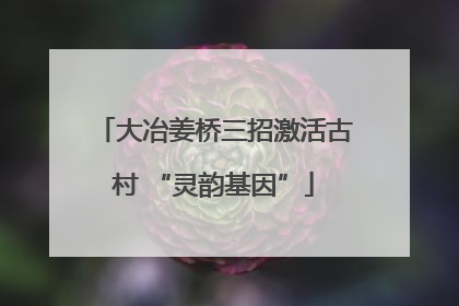 大冶姜桥三招激活古村 “灵韵基因”