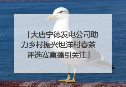 大唐宁德发电公司助力乡村振兴坦洋村春茶评选赛直播引关注