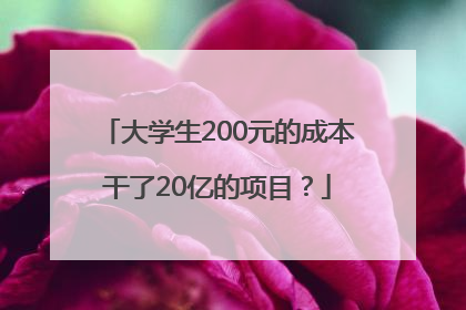 大学生200元的成本干了20亿的项目？
