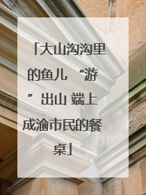 大山沟沟里的鱼儿 “游”出山 端上成渝市民的餐桌