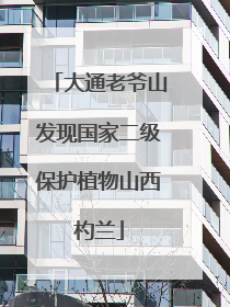 大通老爷山发现国家二级保护植物山西杓兰