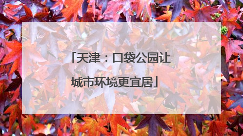 天津：口袋公园让城市环境更宜居