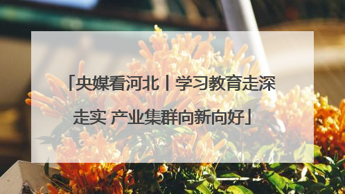 央媒看河北丨学习教育走深走实 产业集群向新向好