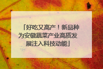 好吃又高产！新品种为安徽蔬菜产业高质发展注入科技动能