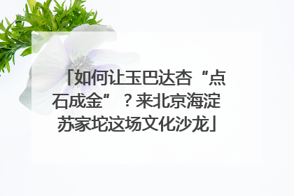 如何让玉巴达杏“点石成金”？来北京海淀苏家坨这场文化沙龙